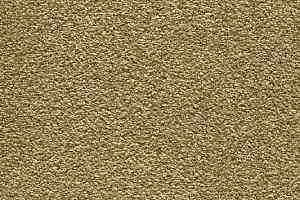 Ковролин AW Masquerade Moana 54 фото  | FLOORDEALER